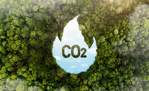 Carbon reduction: ahead of schedule, gaining momentum